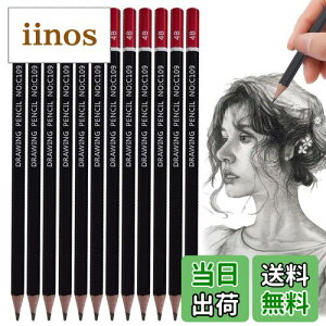 【送料無料】PAVIKE 書き方鉛筆 4b 書きやすい 12本セット 太芯 硬筆書写用かきかた鉛筆 デッサン用鉛筆丈夫で芯が折れにくい 六角軸 絵画 スケッチ 描画 学生や専門家のためのアーティスト鉛