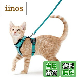 Rabbitgoo 猫 ハーネス リード セット 犬猫兼用 超小型犬 小型犬 抜けない 猫用ハーネス ソフト胸あて 軽量 足を上げず装着完成 サイズ調節可 夜反射 通気メッシュ 咳込み防止 散歩 犬用ハーネ