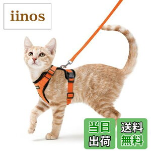 yzRabbitgoo L n[lX [h Zbg Ȃ Lpn[lX \tgy Lp ^ ^ U ЊQ ́[˂ [ グ TCY߉ 锽 ʋC