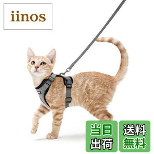 yzRabbitgoo L n[lX [h Zbg Ȃ Lpn[lX \tgy Lp ^ ^ U ЊQ ́[˂ [ グ TCY߉ 锽 ʋC