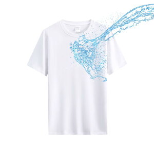 yz  TVc ĕ hH   100% 6.5IX wr[EFCg ÓdPA n _炩 N[lbN  z K JWA Y DX221 FFzCgATC