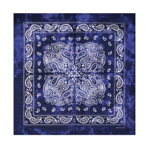 yz[kakatrend] o_i yCY[  100% Op l nJ` Rbg ΂񂾂 jZbNX hD[O 唻 Y 55cm×55cm FFA-i ATCYF55cm×55cm