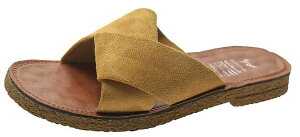 yz[aspersio] [AXyVI] ؂ tbgT_ 킢 NX fUC  fB[X FFnj[}X^[hATCYF24.5 cm