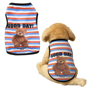 yz TVc t  ̕   ܕ ybg  xXg L  ʋC hbOEFA ^ ^ ƒ o U  Eѕی Ăh FFXg