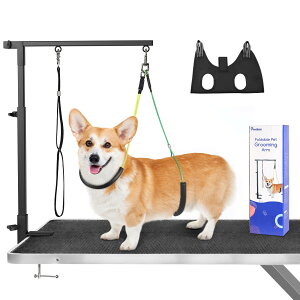 yzg~OA[ Pawaboo pg~OA[ O[~Oe[uɌŒ g~O ܂ g~OnbNt g~OA[ g~O[ht 