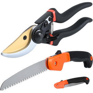 yzCONTYU [ ΂ ̂ Zbg ] XpƐ؂ hKH A } ܂