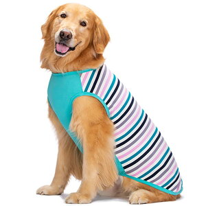 【送料無料】KUVEELA PET 犬服 犬 犬の服 服 夏 春 夏服 ドッグウェア Tシャツ お出掛け お散歩 日焼き防ぐ 脱毛保護 通気性 おしゃれ 大型犬 中型犬 色:ブルー、サイズ:2L