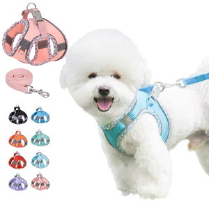 yzKUVEELA PET ^ L ^ n[lX [hZbg [v   hbOEGA ˌXgbvt bV  ߉\ U EȒP FFsNATC