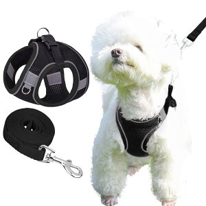yzKUVEELA PET ybgpn[lX[hZbg  L  ˌXgbvt ߉\ U Oo EȒP ^ ^ ^ FFibVjubNATCYFL