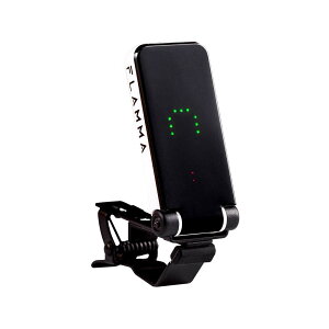 yzFLAMMA FT01 Nbv-I `[i[ M^[ x[X ENp FFzCg