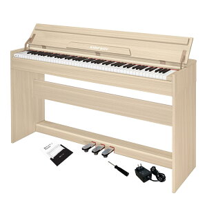 yzKIMFBAY dqsAm 88 sAm ؐ { dq sAm 88 Digital Piano AbvCg sAm y_t t@NV{bNX q S MIDIΉ FF8817x[W