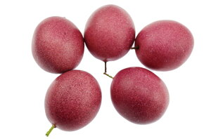 �y���������zspeed mao �{�� �������� ������������ �p�b�V�����t���[�c �H�i�͌^ �H�i�T���v�� 5�� �Z�b�g