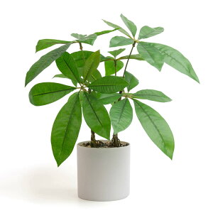 �y���������zWillingYou �ϗt�A�� �t�F�C�N�O���[�� �C���e���A �l�H�ϗt�A�� �ϗt�� ���ԁy�p�L�� ���K�̖؁z������35cm ���� �I�t�B�X ���A�� �A�� ������� ���� �K���̖� �F�F�O���[���A�T