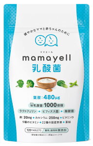 �y���������z�}�}�G�[�����_�� �t�_ ���z�� 480��g �D�w �D�P �Y�� �T�v�������g W���_�� �S �J���V�E�� ���N�g�t�F���� �r�t�B�Y�X�� ���_�� ���� 9��ނ̃r�^�~�� ���Y���22�� �z�� 1������ 