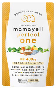 �y���������z�y��q�̃T�|�[�g�������I�[���C�������z�t�_ ���z�� 480��g �D�w �D�P �Y�� �T�v�������g DHA �S �J���V�E�� ���_�� �r�t�B�Y�X�� ���� 8��ނ̃r�^�~�� ���Y���22�� �z�� 1����