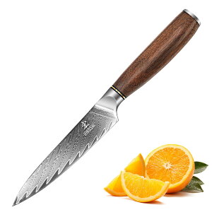 �y���������zHIROSHI �y�e�B�i�C�t �ʕ�� �t���[�c�i�C�t 125mm �_�}�X�J�X V��10�� ���� �s���؂ꖡ ���.�ʕ��J�b�g ��ނ� ���^� �e�[�u���i�C�t �V�R�ؕ� �����Ղ� �F�F���A�T�C�Y�F205