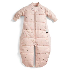�y���������z[ergoPouch] �G���S�|�[�` �X���[�v�X�[�c�o�b�O Sleep Suit Bag �y���K�i�z �X���[�p�[ �F�F�f�C�W�[�A�T�C�Y�F8-24M