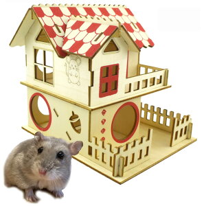 �y���������zPIENSE ������ �n���X�^�[ �B��� 2�K���� �n�E�X ���� �V�я� �v���C�n�E�X �͂��� �ؐ� �^���s������ �X�g���X���U