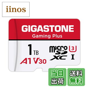 �y���������zGIGASTONE �}�C�N��sd�J�[�h 1TB-2-1 Core Group �F�F1TB Gaming Plus 1���Z�b�g�A�T�C�Y�F1TB