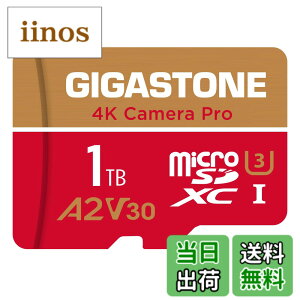 �y���������zGIGASTONE �}�C�N��sd�J�[�h 1TB-4-1 Core Group �F�F1TB Camera Pro 1���Z�b�g�A�T�C�Y�FPro Series