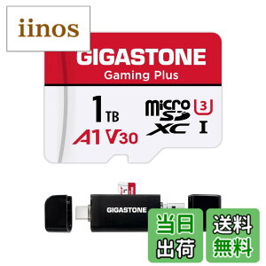 �y���������zGIGASTONE �}�C�N��sd�J�[�h 1TB-2-1 Core Group �F�F1TB Gaming Plus 1��+Type C�J�[�h���[�_�[�A�T�C�Y�F1TB