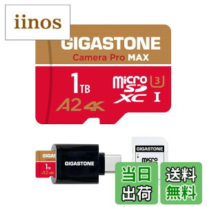 �y���������zGIGASTONE �}�C�N��sd�J�[�h 128-4-1 Core Group �F�F1TB Camera Pro MAX 1��+Type C�J�[�h���[�_�[�A�T�C�Y�F1TB 4K Camera Pro MAX + USB C Card Reader