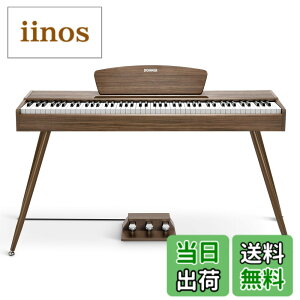 �y���������zDonner �d�q�s�A�m 88���� DDP-80 �F�F�E�H�[���i�b�g�A�T�C�Y�FDDP-80