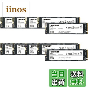 �y���������zPatriot P300 Internal SSD - NVMe PCIe Gen 3x4 - M.2 2280-10 Pack Parent �F�F�u���b�N�A�T�C�Y�F1TB 10 Pack