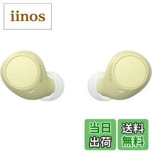 �y���������z�\�j�[(SONY) ���S���C�����X�C���z�� WF-C500/WF-C510 :/�����x�ʘb�i��/IPX4�h�H���\ �F�F�C�G���[�A�T�C�Y�F���^�y��