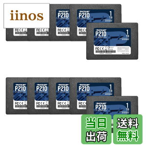 �y���������zPatriot P210 Parent Solid State Drive SSD �F�F�u���b�N�A�T�C�Y�F1TB 10 Pack Retail Packaging