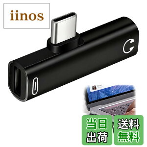 �y���������z�C���z�� �^�C�vC �ϊ� 3.5mm �ϊ� �^�C�vC �u���b�N 2in1 PD100W�}���[�d & Hi-Fi DAC���� 3.5mm�C���z���W���b�N �R���p�N�g �ʘb/���y/���ʒ��ߑΉ� Android/TypeC�[�q �ϊ��A�_�v�^