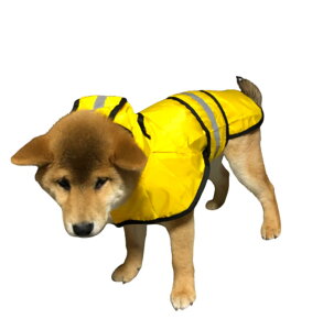 yzyuaseiharupCR[g ybgpCR[g  L Sh  hbOJbp |` ~J΍ [hXqt EȒP h h h ʋC y }WbNe[v 