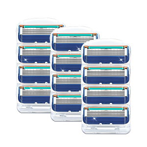 yzJ~\֐n 䓁 ւn YJ~\֐n j FFu[ATCYFu[ 12