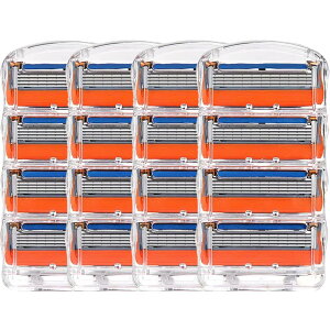 yzHoovic Wbg ֐n t[W J~\ ֐n 5n Wbg d vOCh Ђ E ݊i (16Zbg) FF16