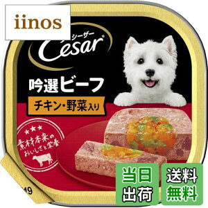 yzV[U[ p FF2)Ir[t `LEؓATCYF2)100g×24(e)