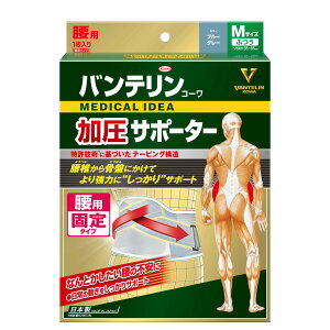 yzoeT|[^[ pŒ^Cv FFu[O[ATCYF/MTCY