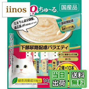 yz`I (CIAO) ~ AHzoGeB 20{ Lp ^Cv FF}`J[