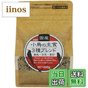 yzybgt[h Y̎H 400O (x 1) TCYF400O (x 1)