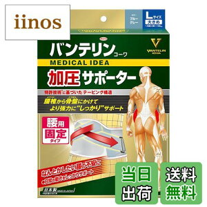 yzoeT|[^[ pŒ^Cv FFu[O[ATCYF傫/LTCY