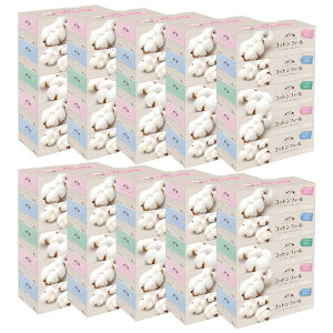 yzGG[ eBV[ RbgtB[ 150g FFATCYF5×10pbNyP[X̔z