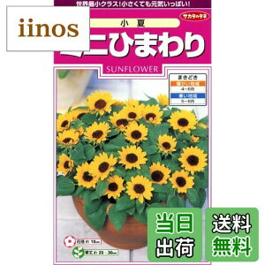 yzTJ^̃^l 5630 ~jЂ܂  00905630 FFgreen