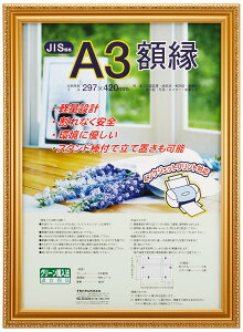 【送料無料】ナカバヤシ 賞状額縁 金ケシ(樹脂製) フ-KWP N 色:金ケシ、サイズ:A3