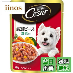 yzV[U[ pE` p Ir[t ؓ 70g×16 (܂Ƃߔ) [hbOt[hEEFbg] TCYF70O (x 16)