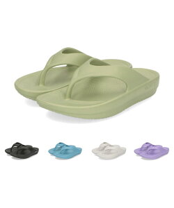 yz[IG^gtBbN] T_ Jo[ Ռz gO r[` y jp EVA ʋC _炩 C  AEghA s  OT3218 FFO[ATCYF22.5 c