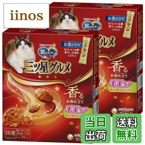 yz̃Xv[ OcO ыʃPA Vs FFATCYF240g×2