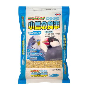 yzGNZ  ̐H ނ 900g TCYFH295 × W190 × D35immj