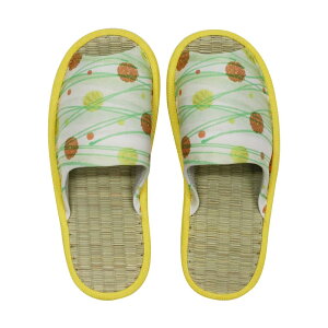 yz[FASPROJECT]  Xbp OD bV |  C\[ fB[X (M `25cm /   /sN u[ CG[ O[) vg  Ђ  u₩ 