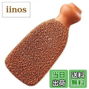 yzGilden Tree y  py΂5Nȏ㒷 eRb^Bp  ƍ Ƃ₷