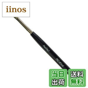 yzNaility!(lCeB!) Naility!PRO WFuVI[o (FM) 1{ FFFATCYF1{