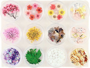 【送料無料】Princess-style レジンパーツ きらきらバタフライ入り ネイル レジン 押し花 材料 12種類セット 色:マリン、サイズ:12個アソート